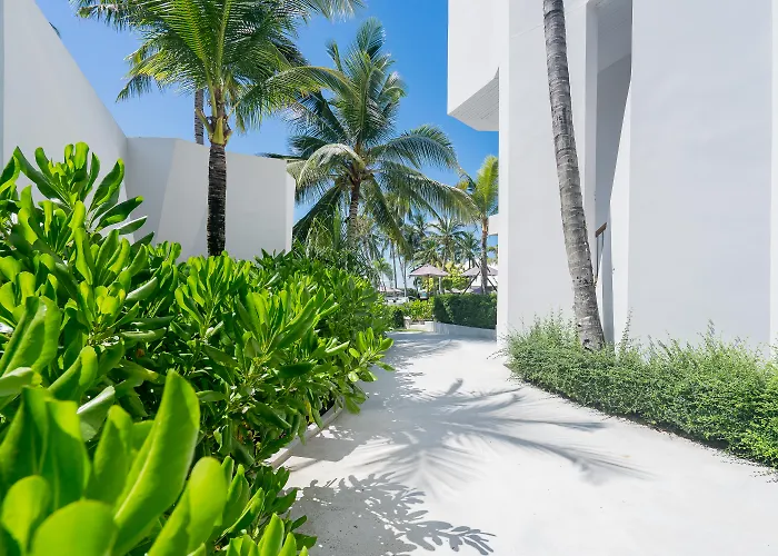 La Vida Samui